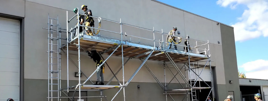 scaffold-training-edu