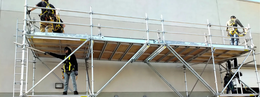 scaffold-training-education