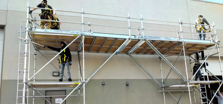 scaffold-training-eduaction
